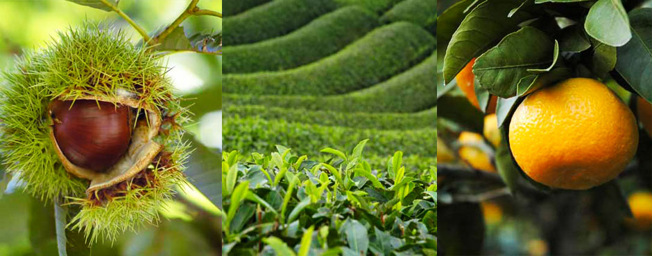 ������Иa������